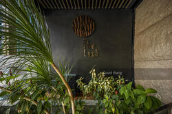 The Lush (D15), Apartment #299684551